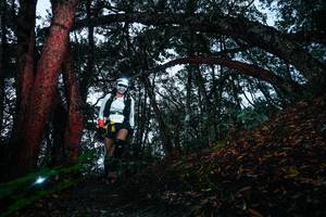 BIB: 
                            <button type="button" onclick="openModal(26342507)" class="btn btn-primary btn-sm float-right btn-popup" data-toggle="modal" data-target=".modal-high-quality">
                        <i class="fas fa-shopping-cart"></i> Add to Cart
                    </button>
                                            <button type="button" onclick="isThisMe(26342507, true)" class="btn btn-success btn-sm float-right btn-popup btn-isme hidden" data-toggle="tooltip" data-placement="bottom" title="นี่คือรูปของคุณใช่ไหม คลิกที่นี่เพื่อเอาเข้าอัลบั้ม">
                        <i class="fas fa-plus"></i> Add to album
                    </button>
                    <button type="button" onclick="isThisMe(26342507, false)" class="btn btn-warning btn-sm float-right btn-popup btn-isnotme hidden">
                        <i class="fas fa-ban"></i> Remove from album
                    </button>